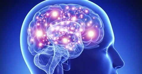 Всемирный день мозга отмечается ежегодно 22 июля
